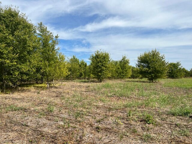 2937 Fm 1569, Greenville, TX 75401