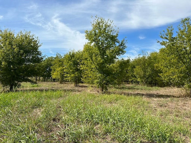 2937 Fm 1569, Greenville, TX 75401