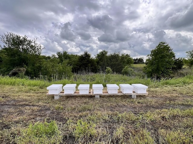2937 Fm 1569, Greenville, TX 75401
