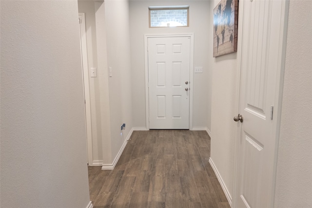 hallway featuring dark wood-type flooring