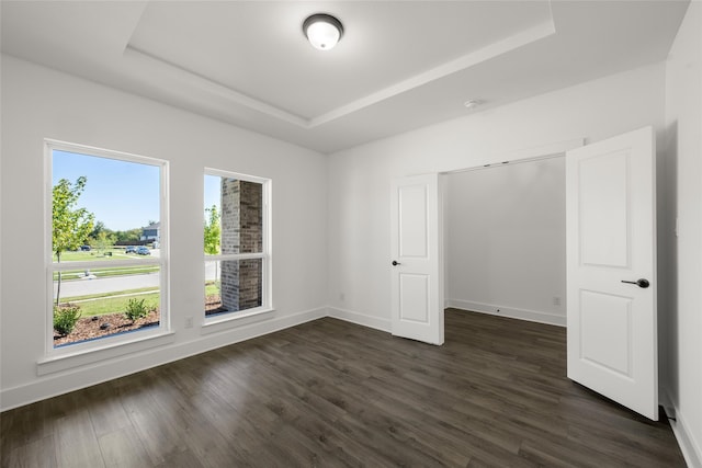 spare room featuring dark wood-type flooring and a tray ceiling