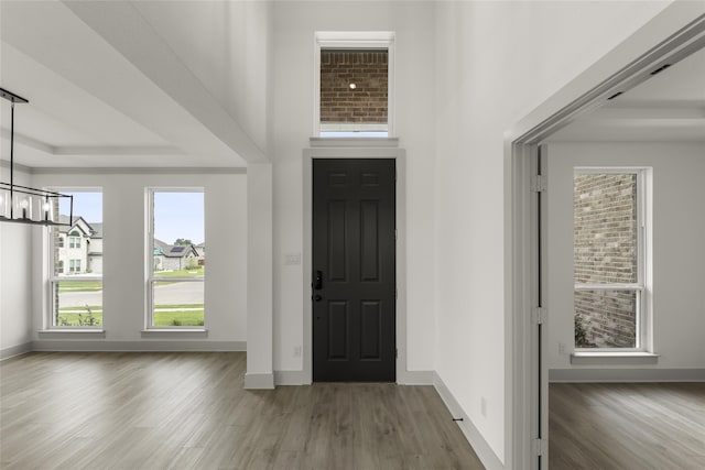 entrance foyer featuring a tray ceiling, hardwood / wood-style floors, and an inviting chandelier