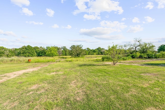 view of yard with a rural view