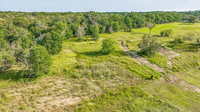 view of birds eye view of property