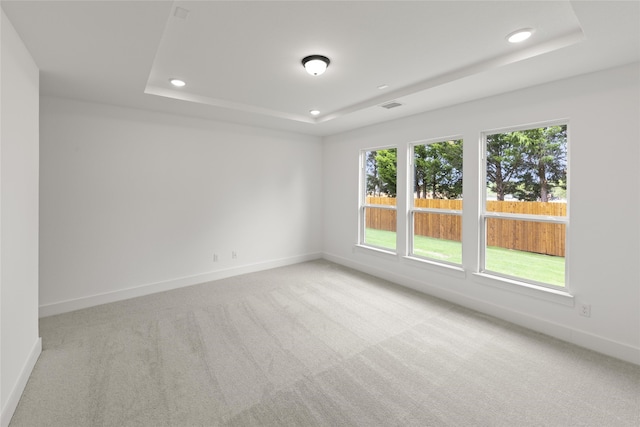 carpeted empty room with a raised ceiling