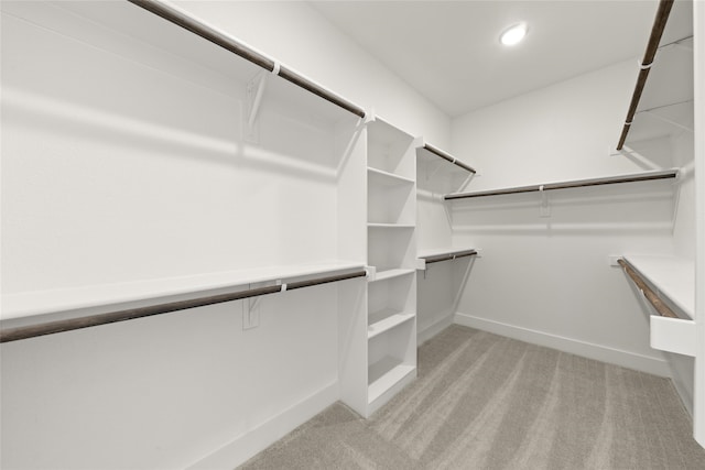 spacious closet featuring light colored carpet