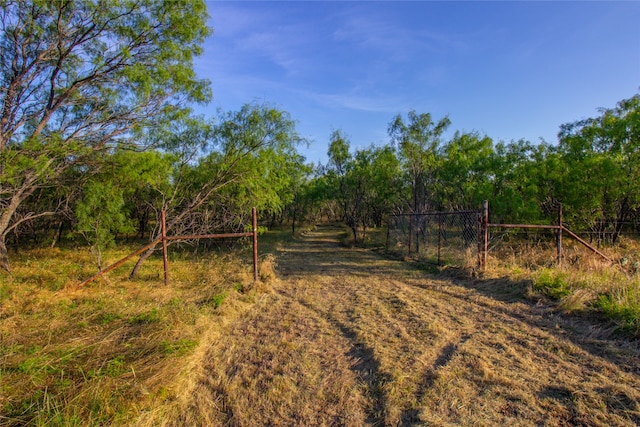 Listing photo 2 for TBD Fm 2190, Jacksboro TX 76458