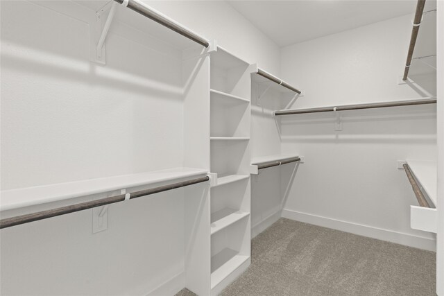 spacious closet with carpet floors