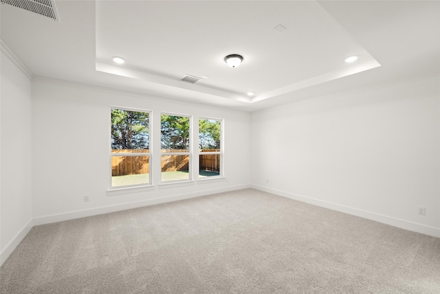 carpeted spare room featuring crown molding and a raised ceiling