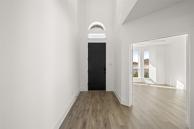 foyer entrance with a high ceiling and light hardwood / wood-style flooring