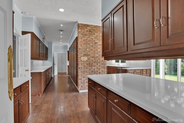 kitchen with crown molding, dark wood-type flooring, and a textured ceiling