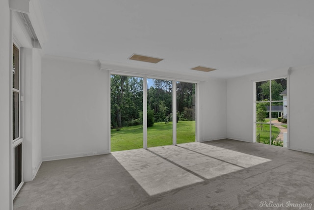 carpeted empty room featuring crown molding and plenty of natural light