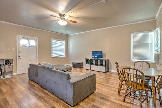 living room featuring ceiling fan, light wood-type flooring, and crown molding