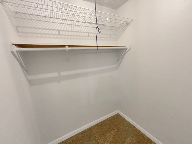 walk in closet featuring carpet floors