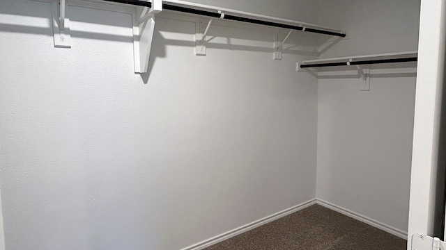 walk in closet featuring carpet flooring