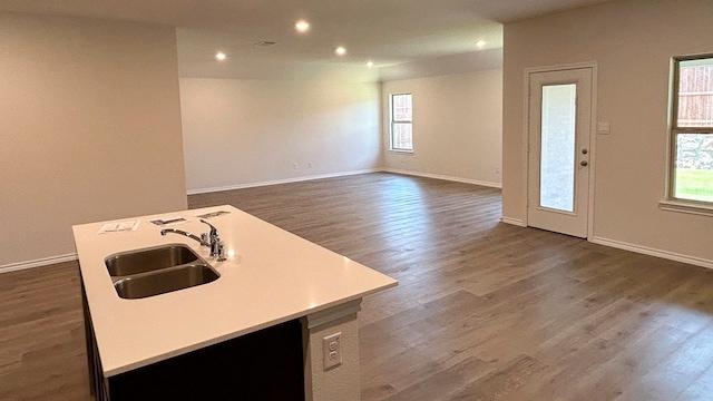 kitchen with a center island with sink, wood-type flooring, and sink