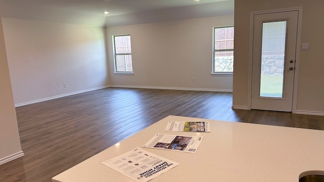 interior space with dark wood-type flooring and a wealth of natural light