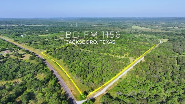 TBD Fm 1156 Road, Jacksboro TX, 76458 land for sale