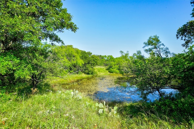 Listing photo 2 for TBD Fm 1156 Road, Jacksboro TX 76458