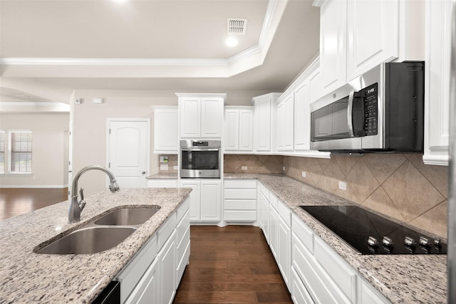 kitchen with white cabinetry, stainless steel appliances, a tray ceiling, and light stone counters