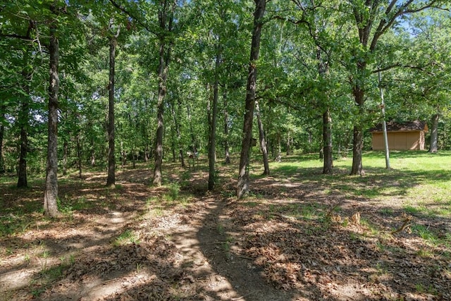 view of nature featuring a view of trees