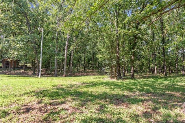 view of yard featuring a wooded view