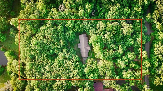 bird's eye view with a forest view