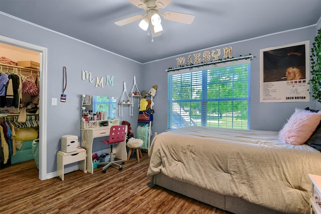 bedroom featuring ceiling fan, a spacious closet, crown molding, a closet, and hardwood / wood-style flooring