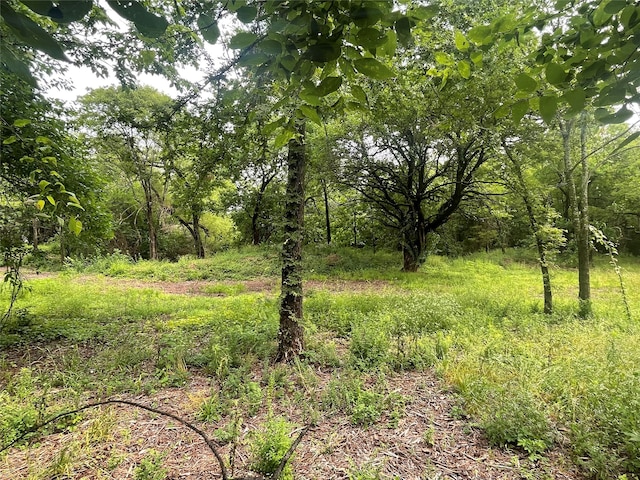 Listing photo 3 for 1.8AC W Sh 67, Brashear TX 75420