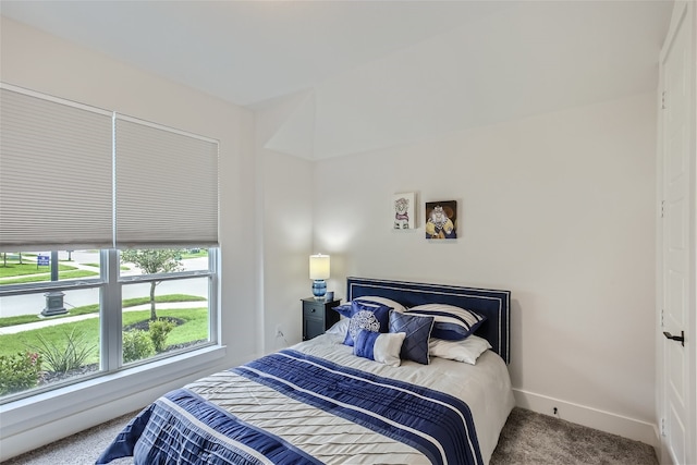 bedroom featuring carpet flooring