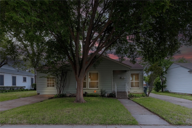 view of front of home with a lawn