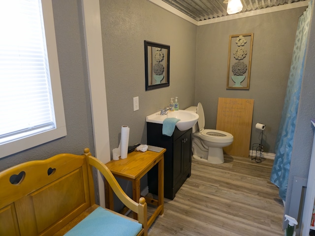 bathroom featuring vanity, toilet, and wood-type flooring