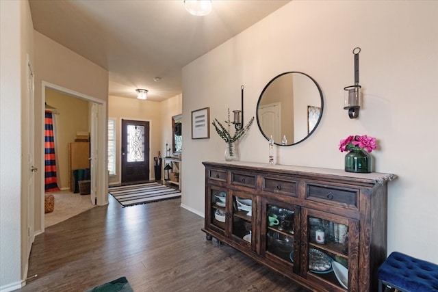 foyer entrance featuring dark hardwood / wood-style flooring