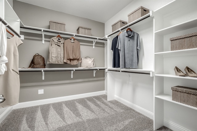 walk in closet featuring carpet floors