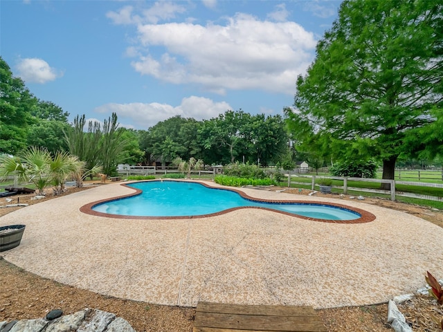 view of pool with a patio area