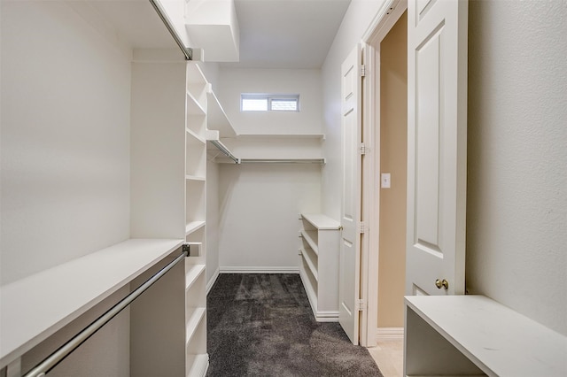 walk in closet with dark carpet