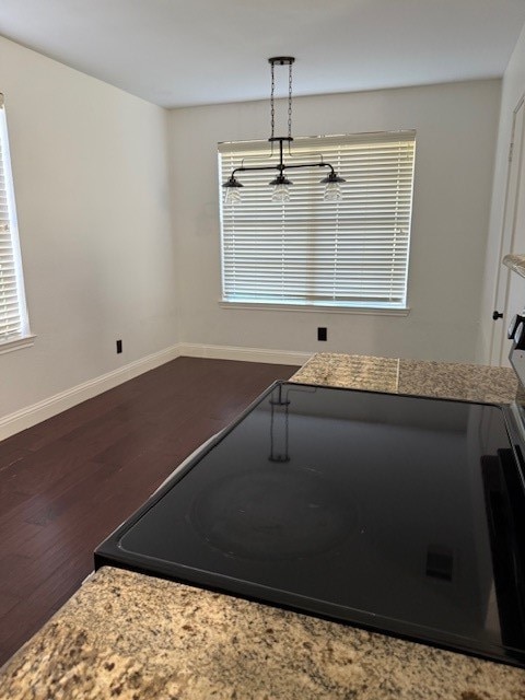 interior space with dark hardwood / wood-style floors