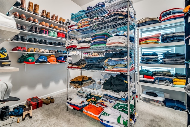 spacious closet with carpet