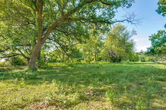 Listing photo 2 for TBD Highway 377, Pilot Point TX 76258