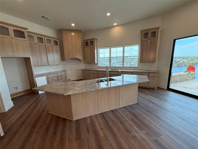 kitchen featuring a wealth of natural light, sink, dark wood-type flooring, a kitchen island with sink, and decorative backsplash