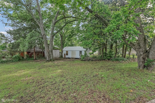 view of yard featuring a storage shed