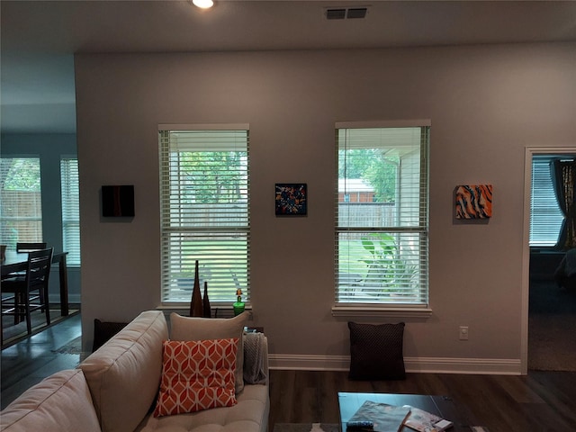 living room featuring dark wood-type flooring