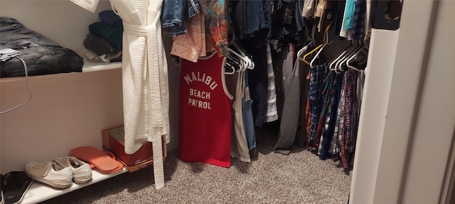 spacious closet featuring carpet flooring