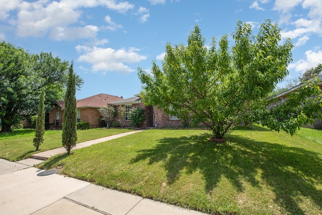 view of front of home with a front lawn