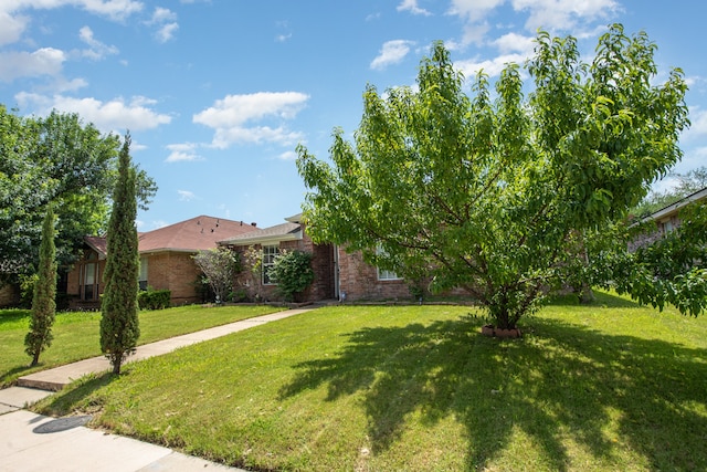 view of front of property featuring a front yard