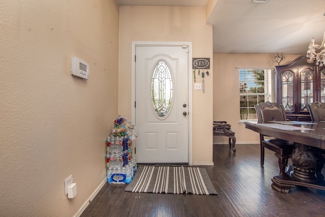 entrance foyer featuring dark hardwood / wood-style flooring