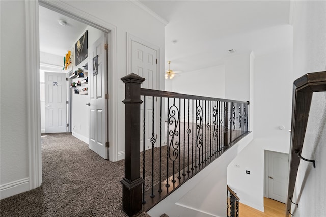 corridor with ornamental molding and carpet