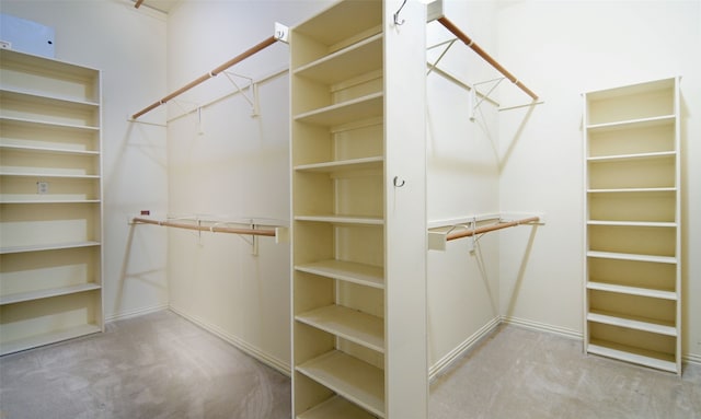 spacious closet featuring carpet