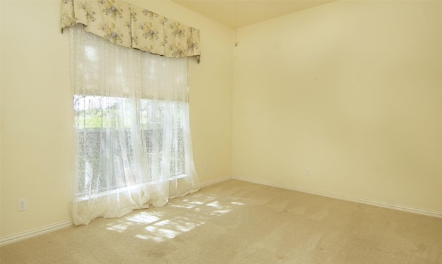 unfurnished room featuring carpet