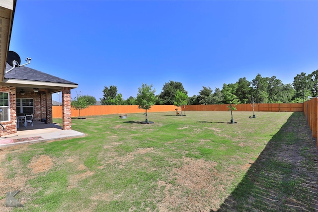 view of yard featuring a patio area